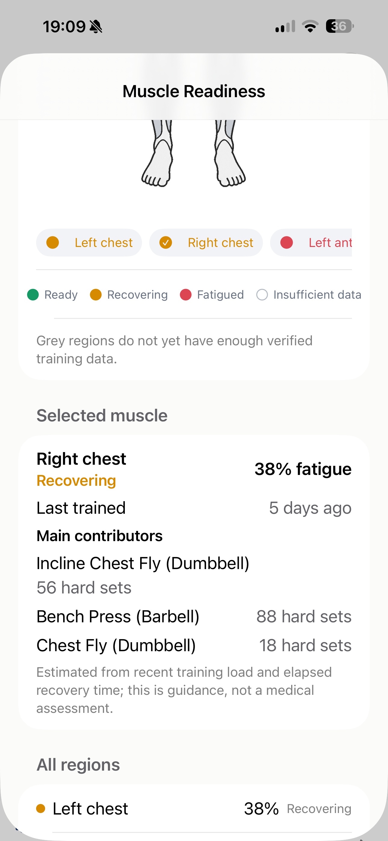 Muscle Readiness: recovery by muscle group with selected muscle detail